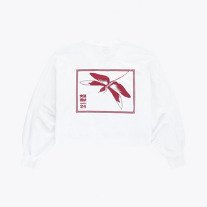 Women V Neck Cropped Sweater