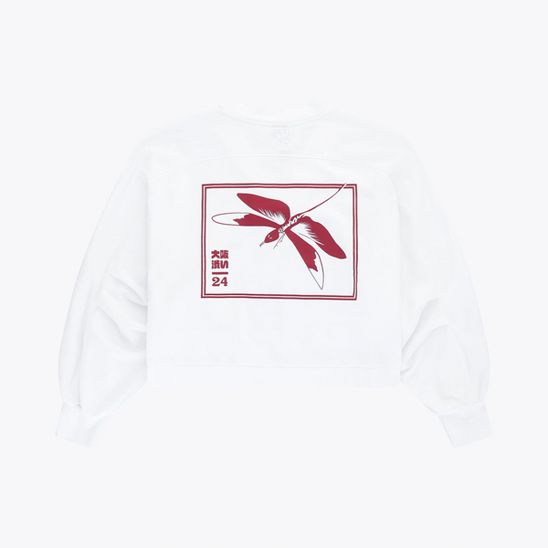 Women V Neck Cropped Sweater