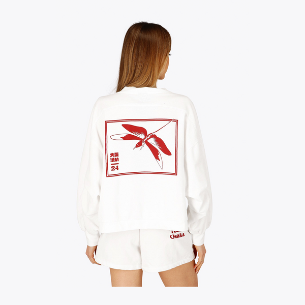 Women V Neck Cropped Sweater
